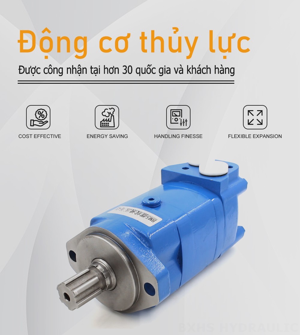 Mô-tơ thủy lực Cycloid BM5_3 125 cc/vòng 75 L/phút Mô tơ thủy lực